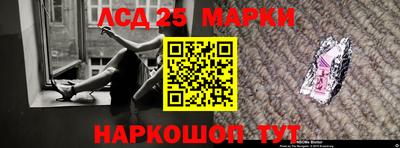 дурь Бердск